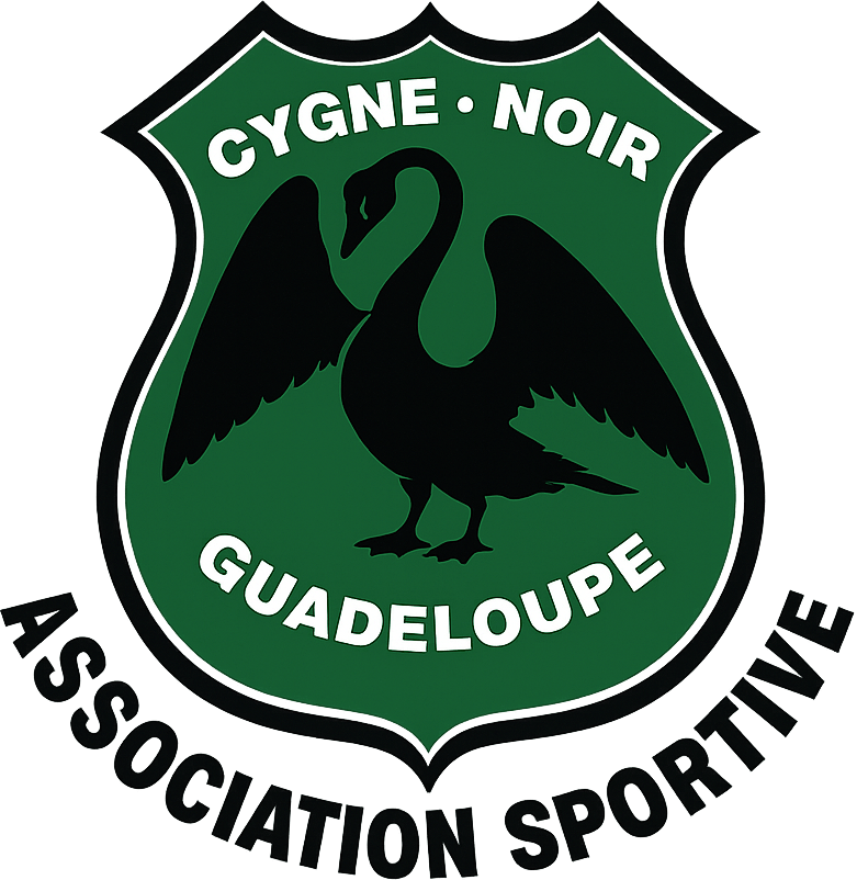 Logo CYGNE NOIR
